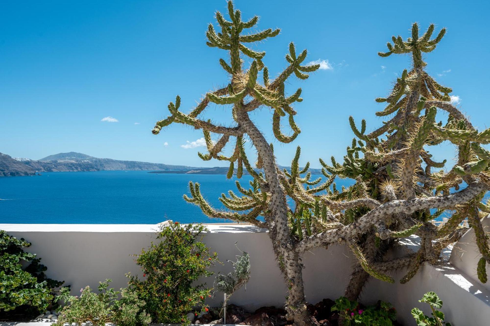 Passion Blue Villas Oia  Exterior foto